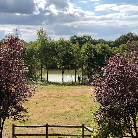 Bed and Breakfast La Jonquiere Bouloire Exterior foto