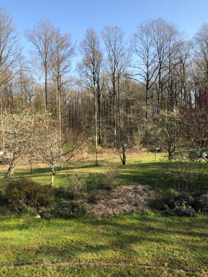 Bed and Breakfast La Jonquiere Bouloire Exterior foto